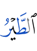 птицы
