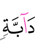 животных,
