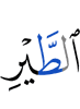 птицы