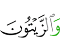 и маслину,